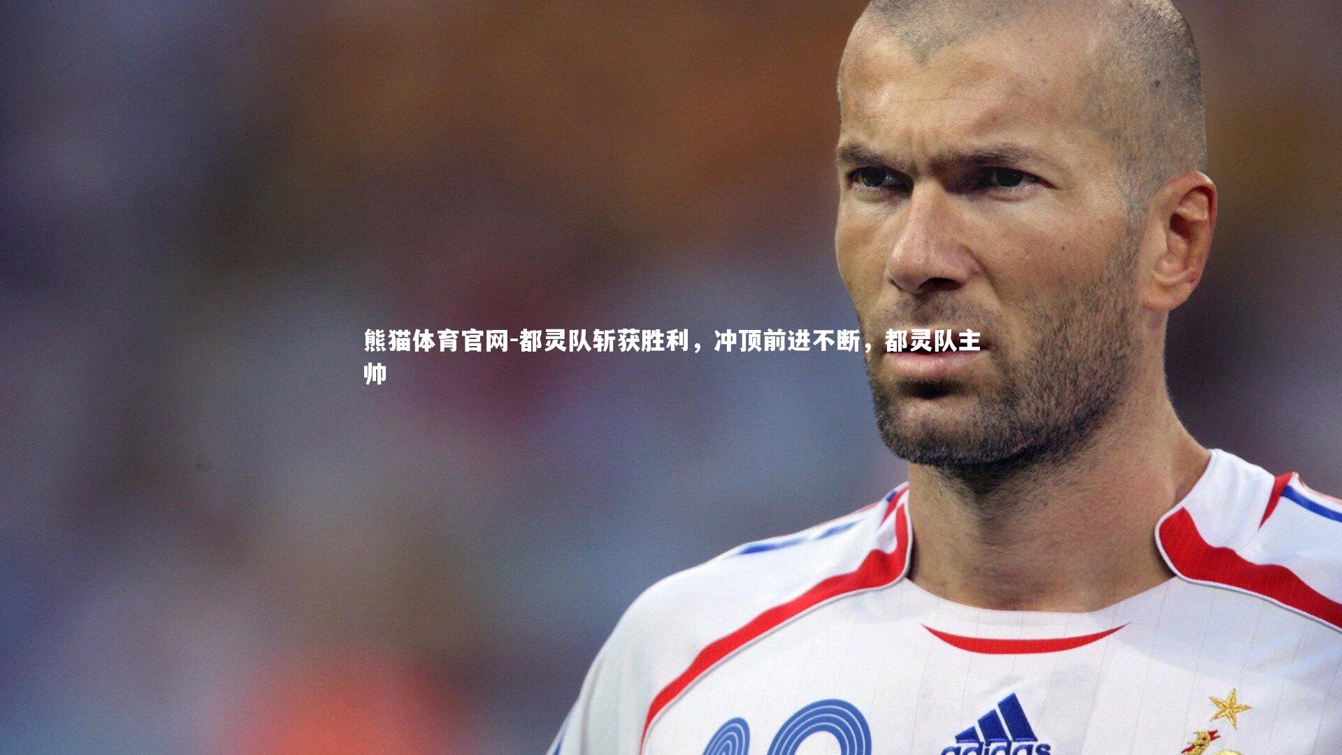 熊猫体育官网-都灵队斩获胜利，冲顶前进不断，都灵队主帅